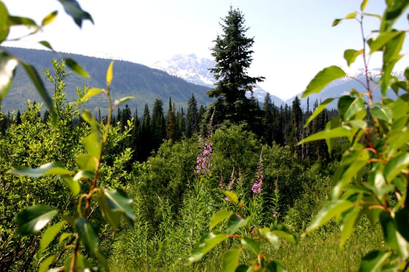 062004 P Rupert to Hyder AK (10168)